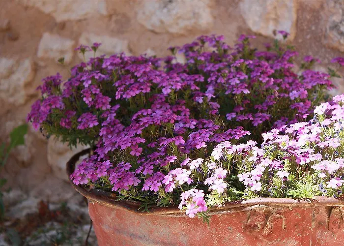 La Casa Sù Le Dimore Del Borgo 3* Santo Stefano Di Sessanio